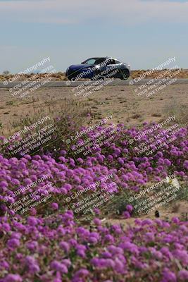 media/Jan-08-2023-SCCA SD (Sun) [[8f6a5b9391]]/Advanced Group/Session 2 (Short Straight)/